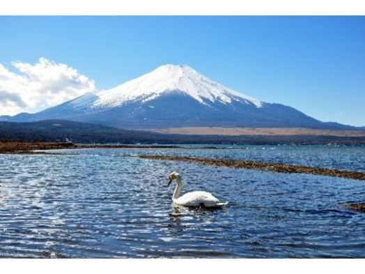 雄大な富士山と山中湖の景色とオナー手作りのお食事をお楽しみいただくプランです。【１泊２食付】